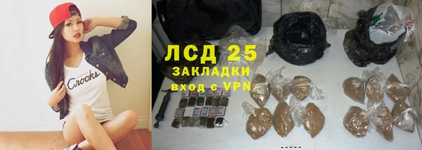 PSILOCYBIN Алексеевка
