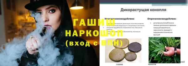 PSILOCYBIN Алексеевка
