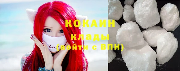 амф Алексин