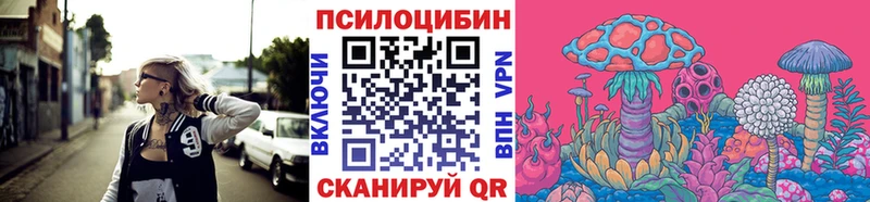 Галлюциногенные грибы Psilocybe  Приморск 